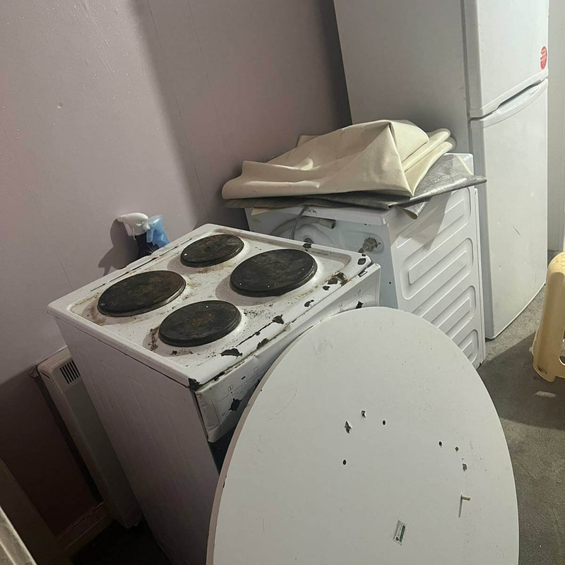Kitchen appliance cooker, washing machine